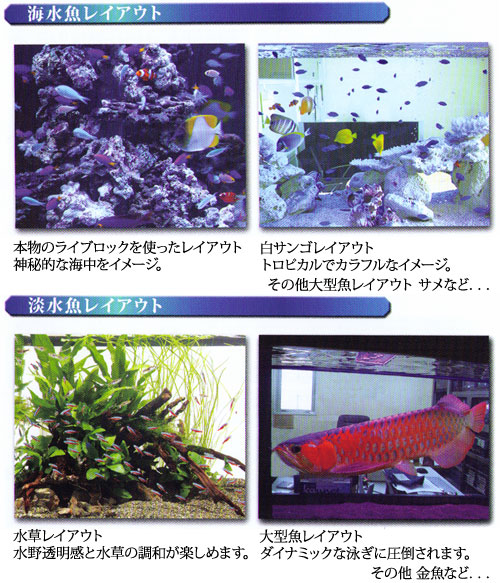 海水魚レイアウト、淡水魚レイアウト