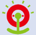maruyo