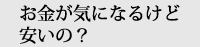 お金が気になるけど安いの？