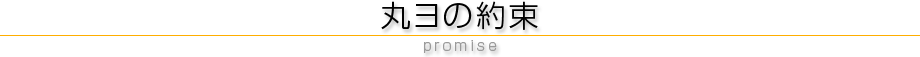 丸ヨの約束
