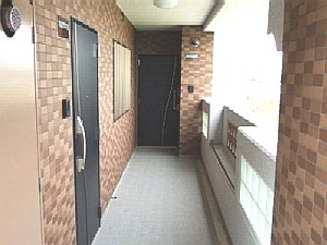 ikedahaitu3.JPG