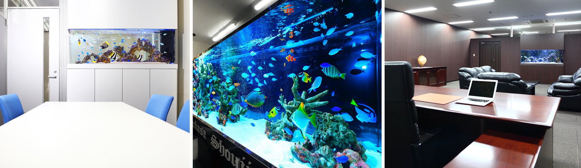 AQUARIUM SYSTEM